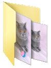голубой британский кот - фото